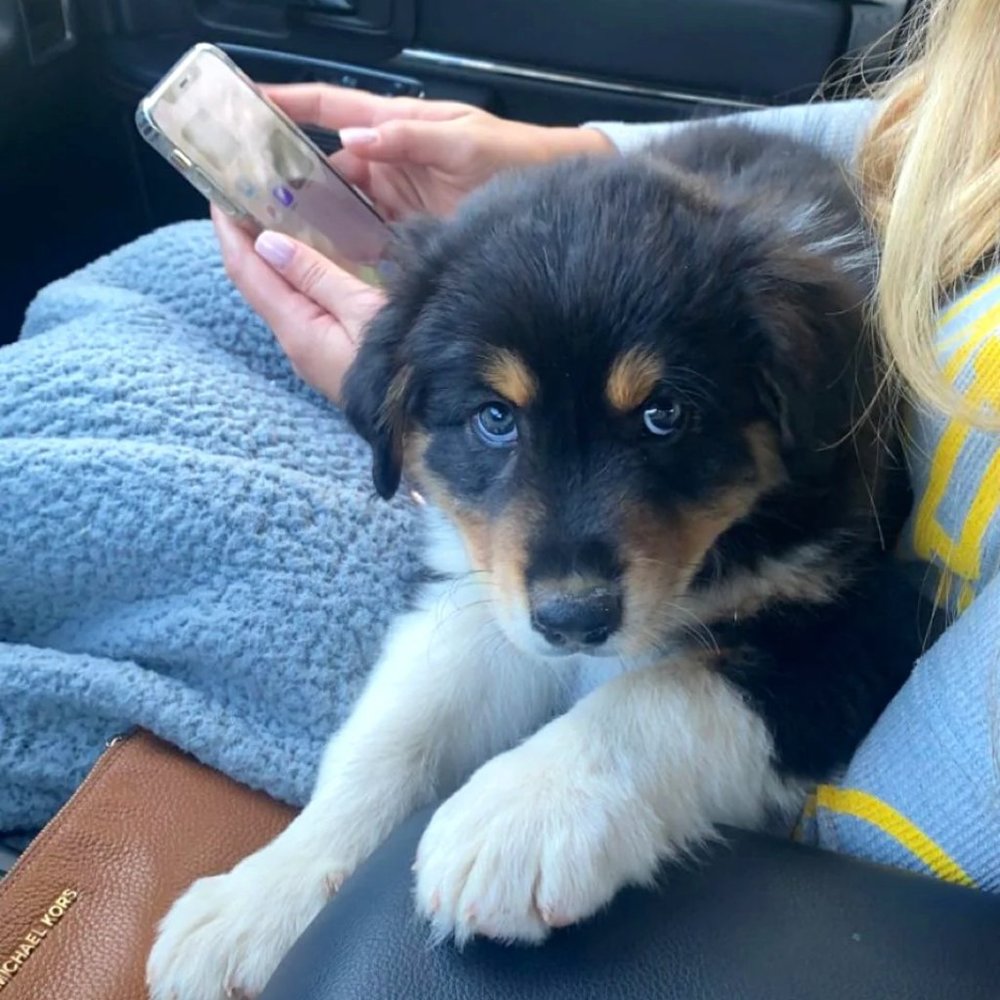 Meet your Posher, Ellie